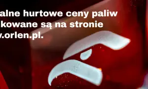 Aktualne hurtowe ceny paliw Lotos publikowane są na stronie www.orlen.pl.