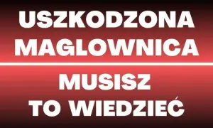 Objawy uszkodzonej maglownicy, które mogą kosztować cię fortunę