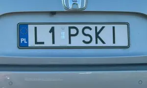 Tablica rejestracyjna L1 PSKI.