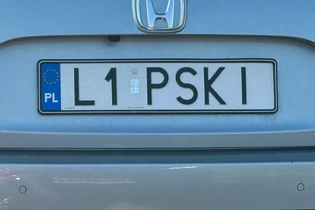 Tablica rejestracyjna L1 PSKI.