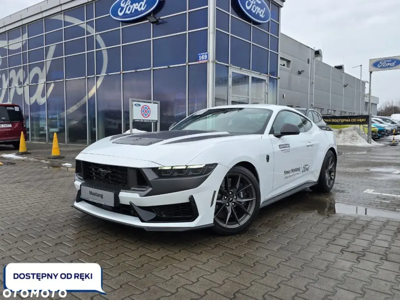 Biały Ford Mustang przed salonem Ford. Sprawdź aktualną mustang cena i dostępność od ręki.