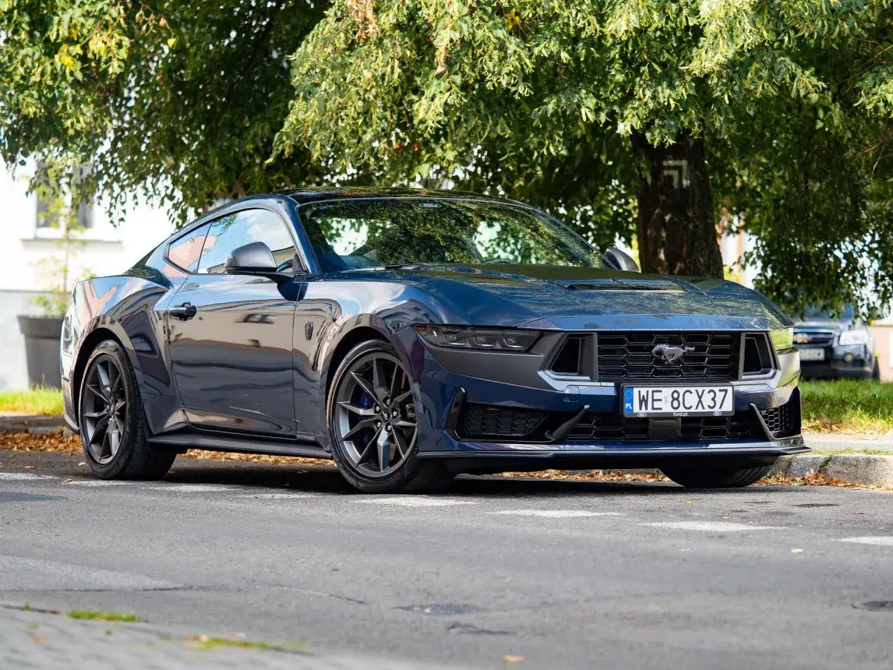 Nowy Mustang GT 5.0 w ciemnoniebieskim kolorze, zaparkowany pod drzewem.