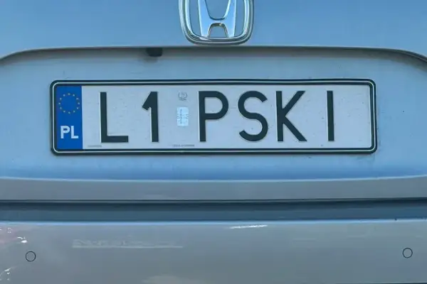 Tablica rejestracyjna L1 PSKI.